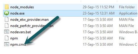 managing the Node.js Package